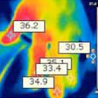 Thermal Hand